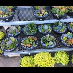 Meet your Posher, Miyuki